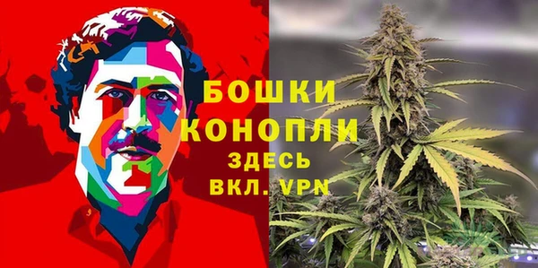 PSILOCYBIN Шали